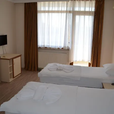 Ayvalik Palas Hotel 2*