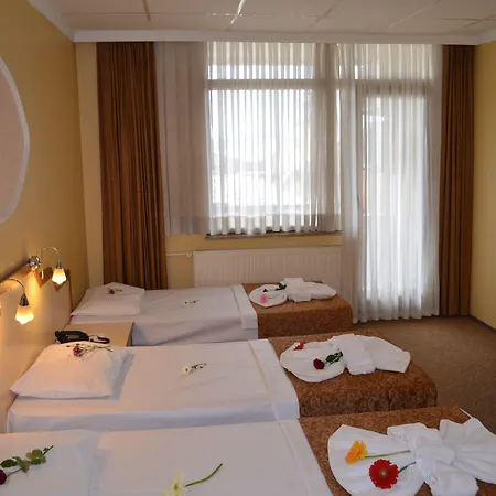 Ayvalik Palas Hotel 2*