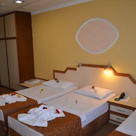 Hotel Ayvalik Palas Hotel 2*
