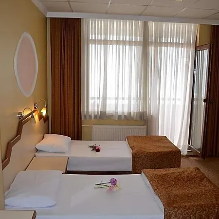 Ayvalik Palas Hotel 2* Ayvalı