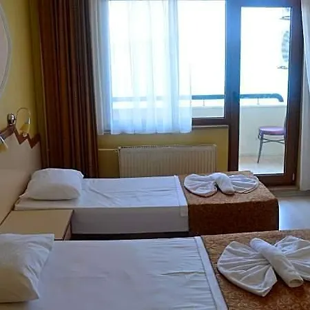 فندق Ayvalik Palas Hotel 2*