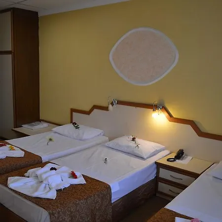 Ayvalik Palas Hotel فندق Ayvalı