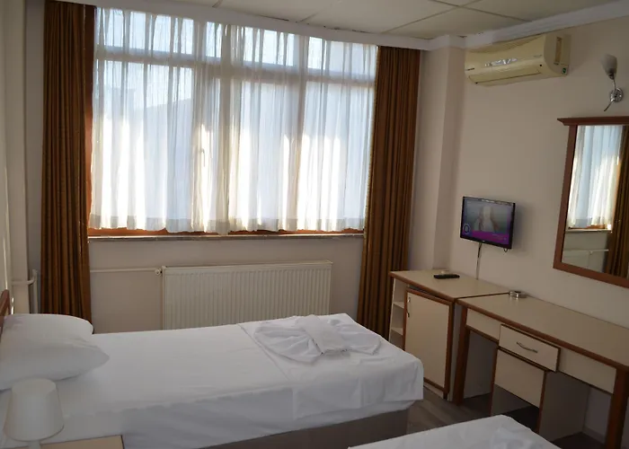 Hotel Ayvalik Palas Hotel 2*