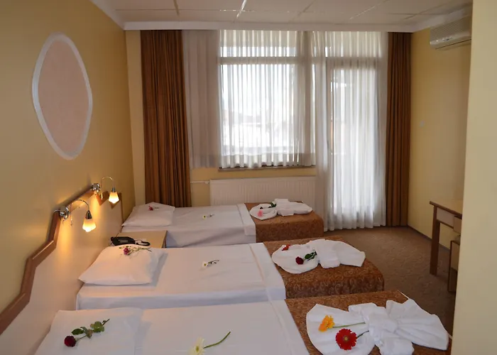 Ayvalik Palas Hotel 2*